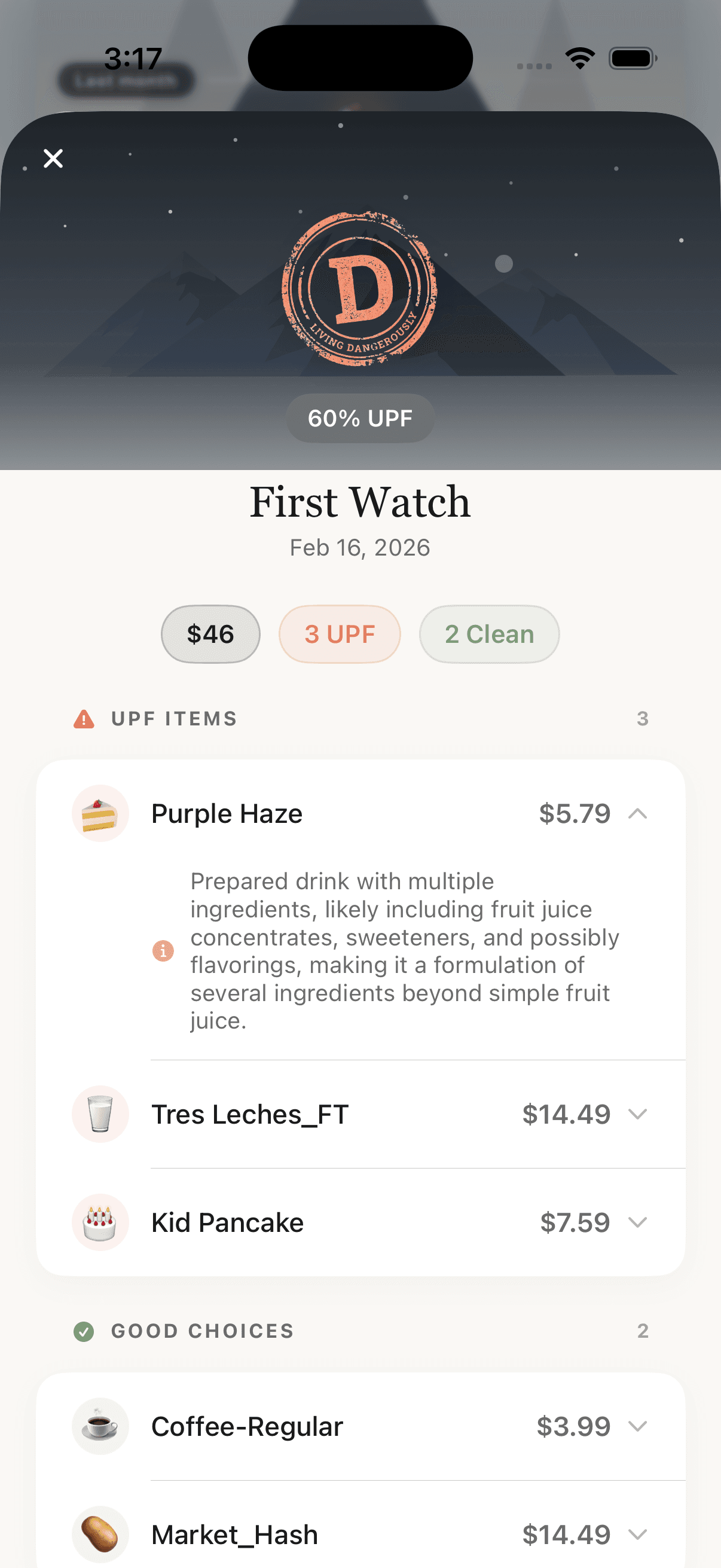 Mount Dorito receipt showing individual food classifications